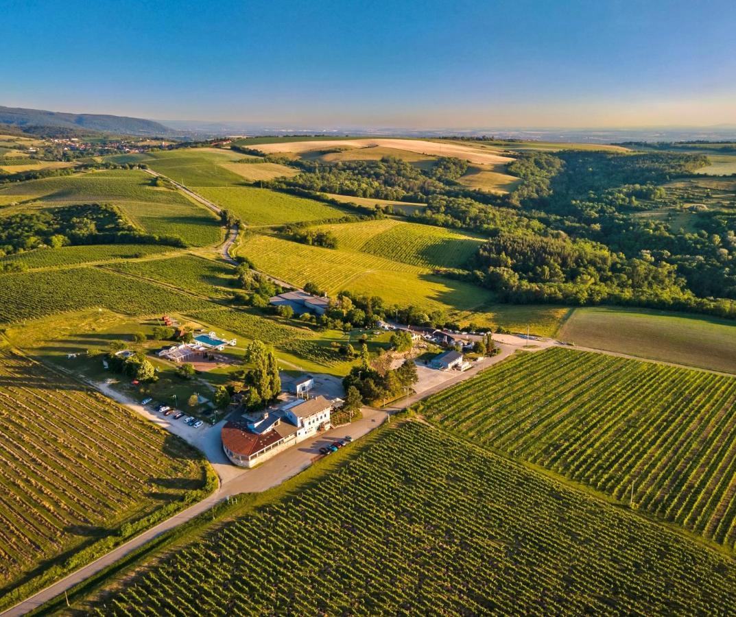Hilltop Borbirtok & Etterem Hotel Neszmely ภายนอก รูปภาพ