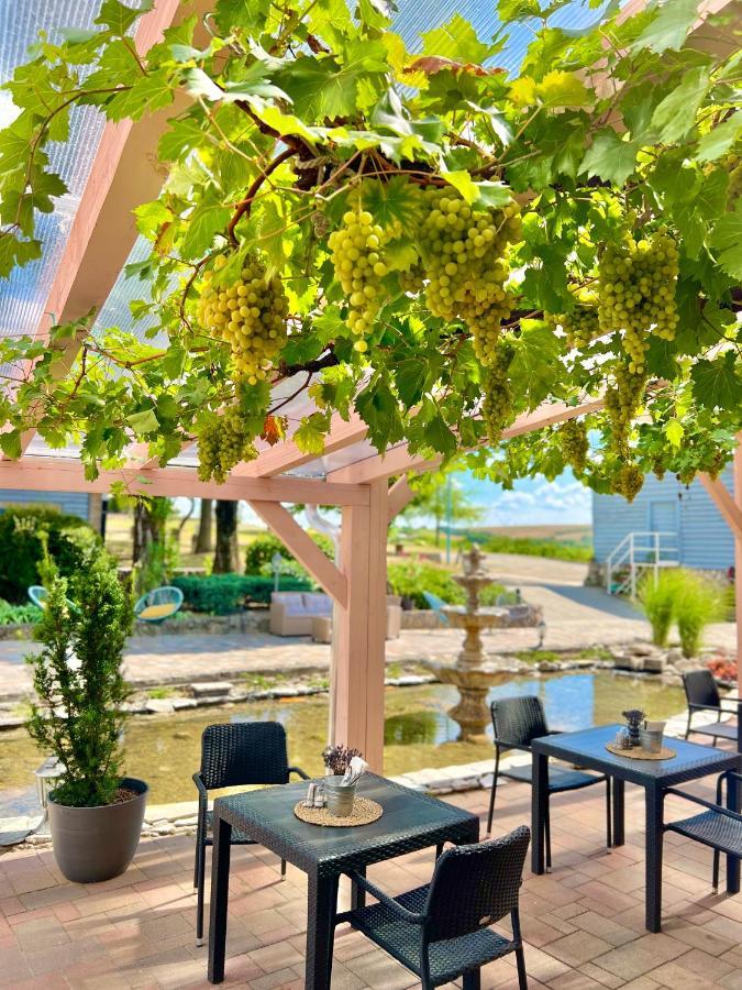Hilltop Borbirtok & Etterem Hotel Neszmely ภายนอก รูปภาพ
