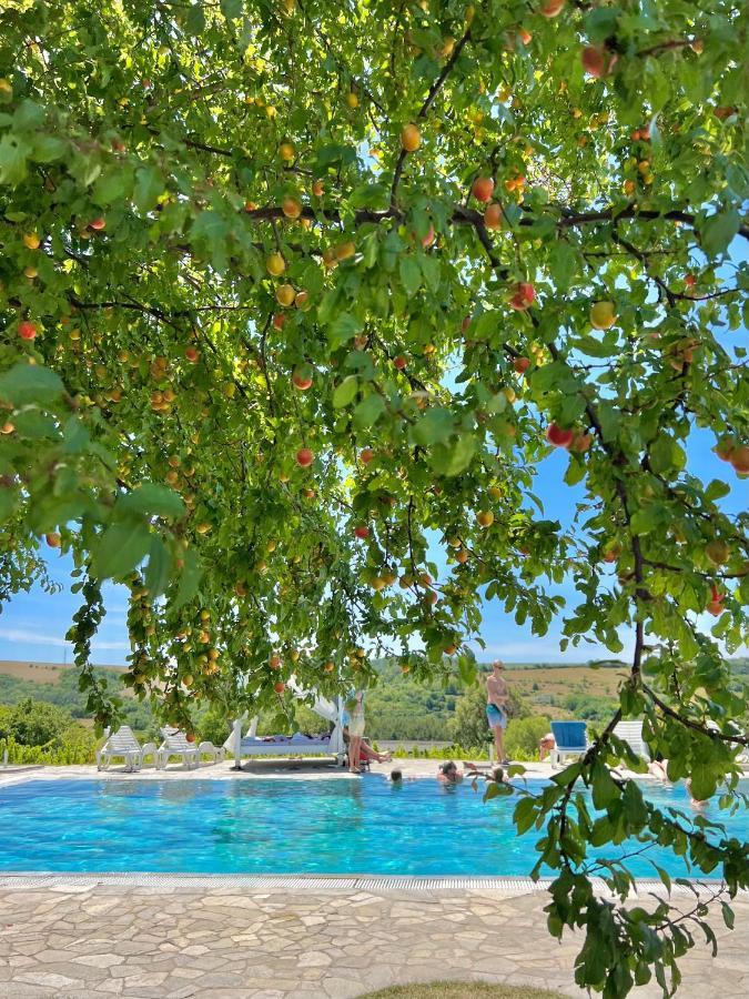 Hilltop Borbirtok & Etterem Hotel Neszmely ภายนอก รูปภาพ