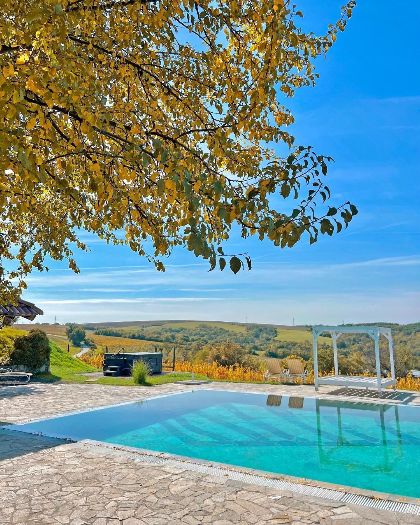 Hilltop Borbirtok & Etterem Hotel Neszmely ภายนอก รูปภาพ